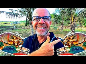 HOW TO Grow Crayfish at Home (Small to Medium Scale production setup)