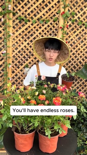 34K views · 339 reactions | tips for plant propagation | Pro Gardening | Facebook