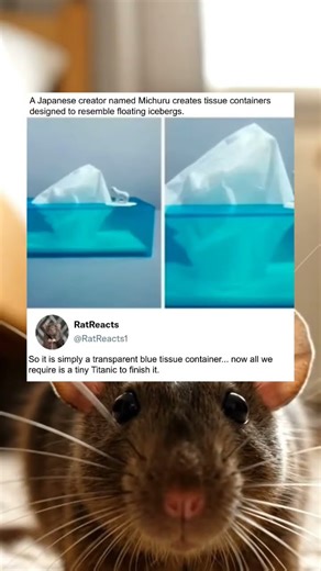 clear blue tissue box completes the iceberg illusion