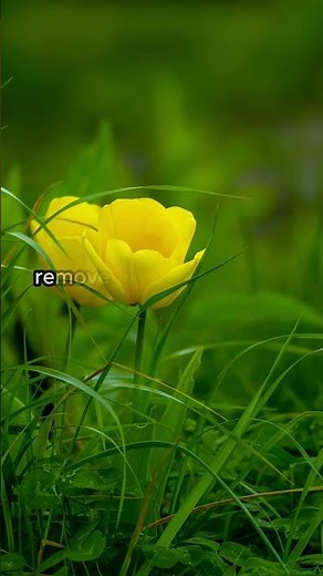 Daily Powerful Prayer to Start Your Day with God | Morning Blessings and Guidance#prayer #motivation