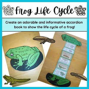 "Life Cycle of a Frog" | A Cut-and-Paste Accordion Book for an Amphibian Unit