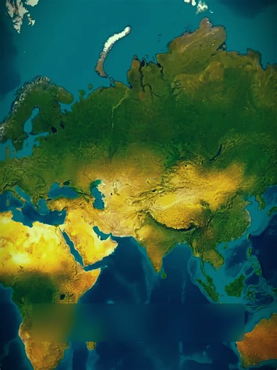 ጉድ እኮ ነው #leather #leathercraft #leathershoes #ethiopian_tik_tok #moa #leatherbag #leather bags for women recos #penguin #rabbit #chinarabbit #fyp