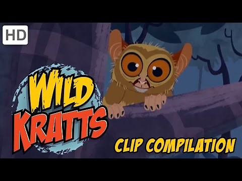 Wild Kratts - Clever Little Mammals Compilation