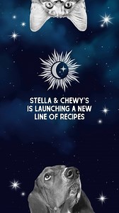 🚨New product alert!🚨 We're launching a new line of recipes specifically designed for your pet's zodiac sign! Don't let your best furrriend feel the effects of mercury in retrograde. Check out all the recipes launching soon: https://www.stellaandchewys.com/updates/zodiac-zingers/ | Stella & Chewy's