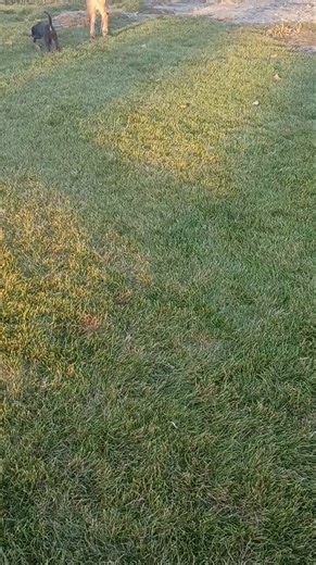 Another beautiful day | Matt Anderson