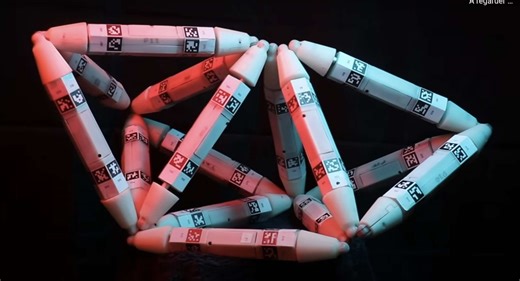 Ces robots qui se « mangent » entre eux pour survivre, évoluer et grandir pourraient conquérir notre planète