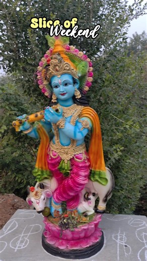 ✨weekend of software 💻 coolie 😁 #relatable #day #diml #trending #viral #ytshorts #software #weekend