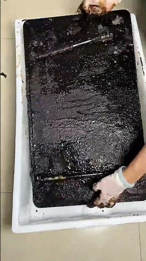 We are the best cleaners | Best House Cleaning💪#cleaning #cleanwithme