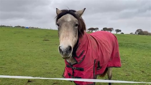 6.6K views · 158 reactions | Visit 2 and she is over excited to see her Mummy! | The Adventures of Bella & Emily by Michelle Holland - Author | Facebook