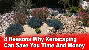 8 Reasons Why Xeriscaping Can Save You Time And Money