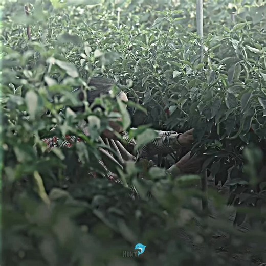 The Sweetest Azan: A Beautiful Islamic Video 🐬