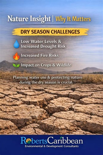 Nature Insight | Why It Matters During the dry season, reduced rainfall affects water availability, agriculture and ecosystems. Rivers and streams run lower, soils dry out faster, with increased risk of bushfires. Understanding the dry season helps communities plan for better water use, safeguard vegetation, and reduce environmental and climate-related risks.  | Roberts Caribbean Grenada | Facebook