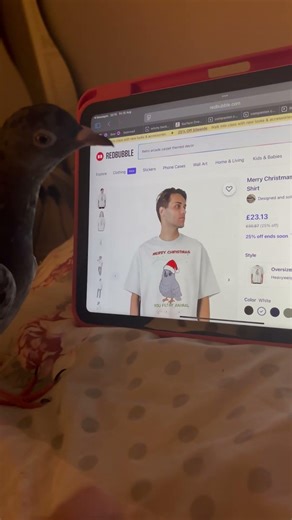 Pigeon Pecks Its Cartoon Image on an iPad and Then Watches Merchandise Scroll