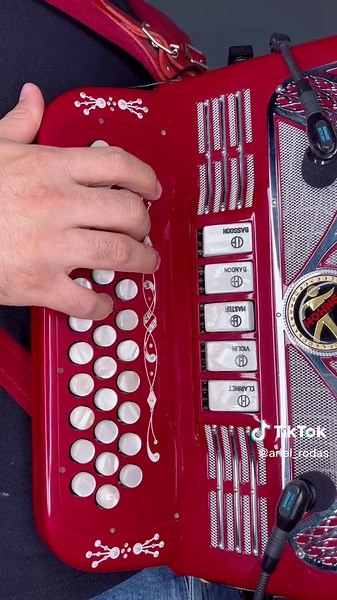 #fyp #accordion #acordeon #regionalmexicano #accordionist #accordionplayer