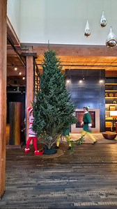 Special delivery! 🌲🎁 Our halls are officially decked ✨ #exploremn #mnchristmas #twincities | Hewing Hotel