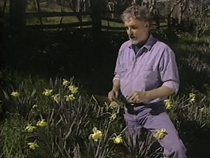 1996 VHS • Rodale's Guide to Planting, Pruning and Propagating 60 FPS