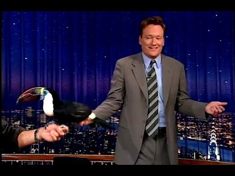 Animal Expert Jarod Miller: Armadillo & Toucan - "Late Night With Conan O'Brien"
