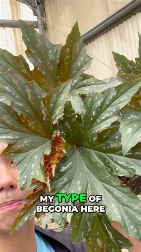 This Hidden Texas Plant Nursery Has Hundreds of Cheap Rare Plants!