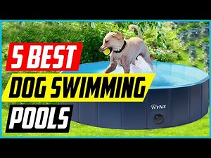 Best Dog Swimming Pools 2021 [Top 5 Picks]