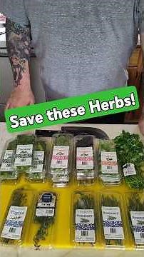How to Freeze Fresh Herbs the Right Way (Olive Oil vs Water Trick!) | Homechef Bill McDowell #shorts