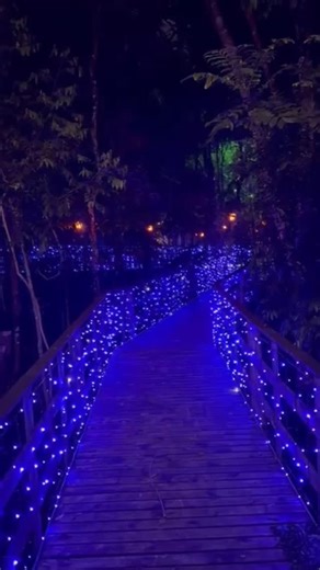 Rua Iluminada Família Moletta on Instagram: "Contagem regressiva para a estreia da Rua Iluminada Família Moletta ⭐️ Quem aí está ansioso? 📅 15 de novembro a 4 de janeiro (exceto no dia 31/12). 📍 Rua Nicola Pellanda, nº 5.962, Umbará – Curitiba/PR 🕗 Todos os dias, de domingo a quinta-feira, das 19h30 às 22h30. Sextas e sábados, das 19h30 às 23h. Os ingressos já estão à venda no nosso site! Link também na bio. #ruailuminadafamiliamoletta #familiamoletta #natalcuritiba #natalemcuritiba #natal202