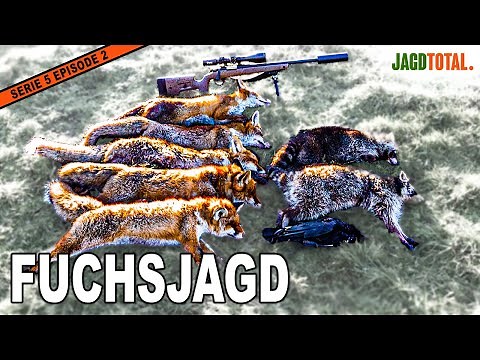 FUCHSJAGD TOTAL - Fuchs erfolgreicher jagen