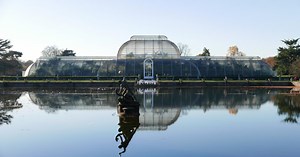 Palm House