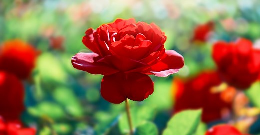 9 Ancient Symbols of Love and What They Mean