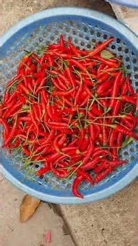 Chili peppers. 13% lower mortality. But also linked to stomach cancer? Confusing?