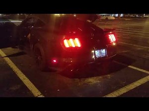 Shelby GT350 Kooks Headers AMAZING Sound!