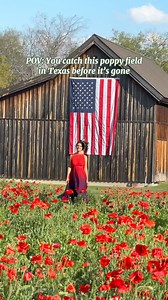 13K views · 203 reactions | ❤️Red Wildflower Poppies in Texas...