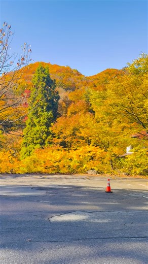Takaragawa Onsen Osenkaku | 2025/11/04 Autumn foliage at Takaragawa Onsen #群馬#みなかみ＃宝川温泉 ＃宝川 ＃宝川温泉汪泉 #Japan #Gunma#Minakami #takaragawa #takaragawaonsen #osenkaku... | Instagram
