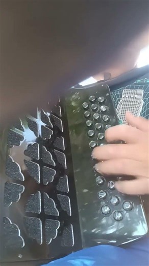 El Mono Colorado #accordion #viral #acordeon #music