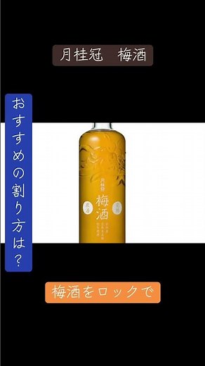 梅酒をロックで！ 月桂冠 梅酒