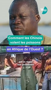 🇸🇳 on Instagram: "Comment les chinois volent les poissons en Afrique de l’Ouest plus précisément au Sénégal en toute inégalité. Extrait du documentaire « Razzia sur l’Atlantique » disponible sur TV5 Monde. #afrique #senegal #chine"