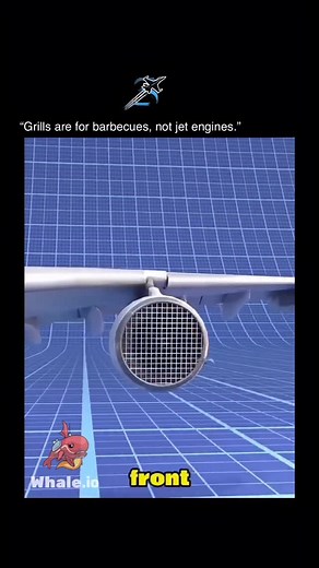 Travel with sanjib on Instagram: "“Why don’t jets have grills to stop bird strikes? Because physics doesn’t care about barbecue solutions. 🐦💥✈️” When a bird hits a jet engine during flight, it’s called bird ingestion — and it’s more violent than it sounds. At speeds over 800 km/h, even a small bird turns into a missile. The engine’s fan blades spin at thousands of RPM, and when feathers, flesh, and bone hit them, the damage can be serious: thrust loss, engine failure, or even flameout. You mig