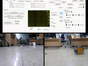 Visual Line Tracking and PID control