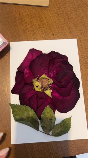 Create Beautiful DIY Pressed Flower Art 🌸