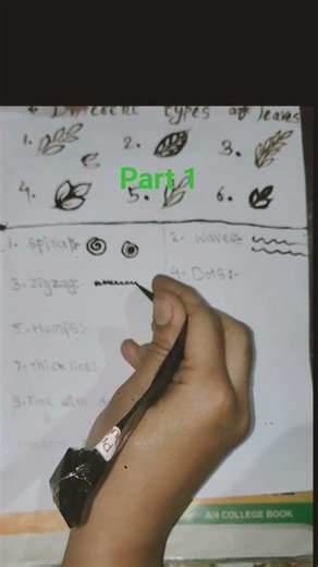 basic shape of mehndi design.follow for part 2.