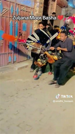 Zuljana Moor Badshah#tandoallahyar #unfrezzmyaccount #zuljanahlovers