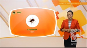 "Боловсрол суваг" телевиз, Jet - School of English хамтран хүргэж буй "Англи хэлний алсын зайн сургалт" Үгсийн сан: Анхан шатны 7-р хичээл! | Edutainment TV