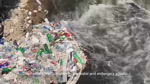 The Environmental Impact of Factories Dumping Waste