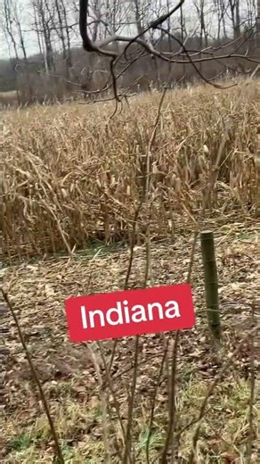 I never hunt alone… it seems like I’ve always got a couple people with me.