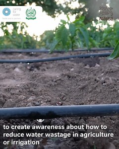 40K views · 4.7K reactions | Nestlé has partnered with Pakistan Agriculture Research Council (PARC) to tackle water mismanagement in Pakistan by establishing a demonstration site that showcases various methods to conserve water and reduce water wastage in the agriculture sector. Pakistan Agricultural Research Council Official Learn more about our water management techniques here: bit.ly/3Ti7NJe #WorldWaterWeek #C4W #SDG6 #SDG13 #SDG17 | Nestlé | Facebook