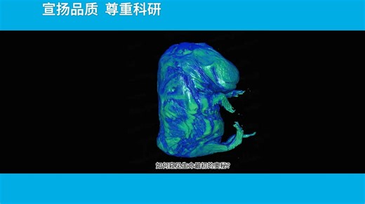 fMOST：新生小鼠整体三维成像
