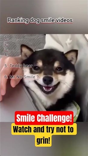 Smiling dog compilation #dog #dogsmile#funnydogs