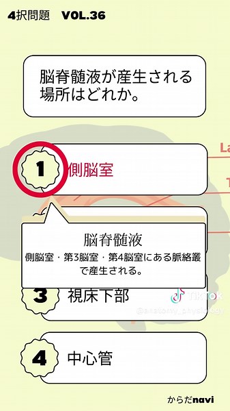 まとめ⑫ #解剖生理学 #柔道整復師 #国家試験 #理学療法士 #鍼灸師 #生理学 #解剖学 #看護学生 #医療学生 #からだnavi