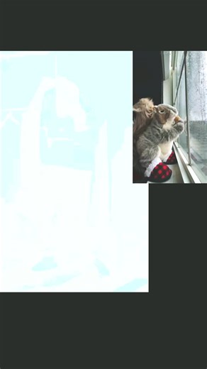 #edits #dance #workout #memes #jokes