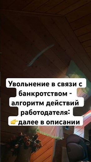 ✅ Увольнение в связи с банкротством – алгоритм действий работодателя:👉далее в описании