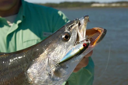 Inshore Fishing: How to Find Big Spotted Seatrout in Winter - Game & Fish